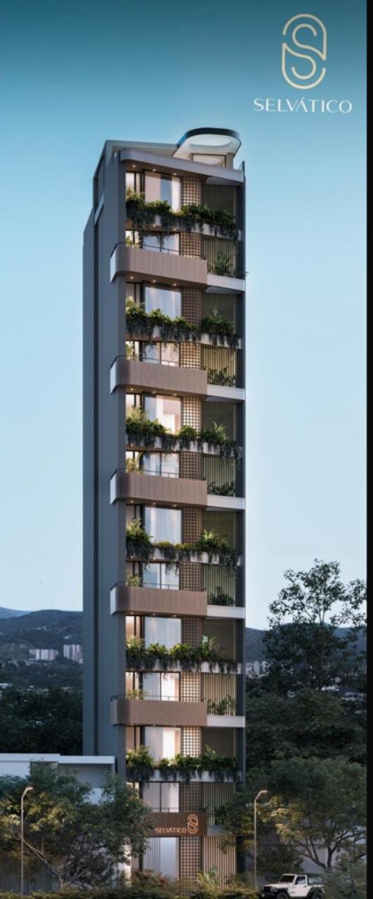Diseño estructural Selvático